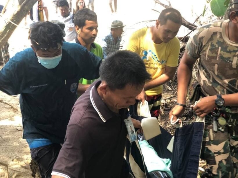 Dolphin rescued near Nai Yang Beach | News by Thaiger