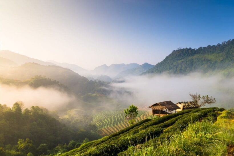 Temperatures plunge on Thailand’s highest mountain