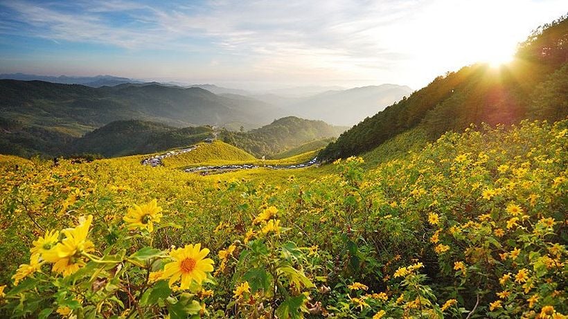 Enjoy the Bua Tong Blossom Festival in Mae Hong Son