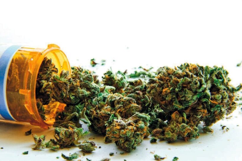 Government ready to develop medications, rejects seized marijuana