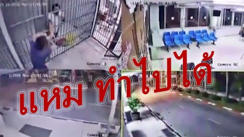 แหกคุกเนียนๆ หลอกสิบเวรตีงูในห้องขัง สบโอกาศวิ่งไฟแลบ | The Thaiger