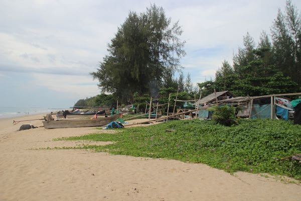 Phang Nga hotel ordered to stop holding weddings on the beach