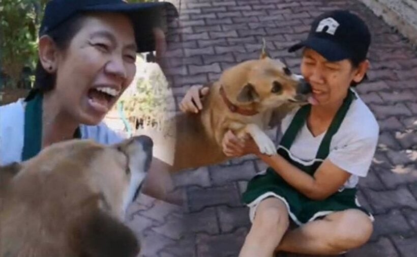 Social media helps re-unite dog and owner in Chiang Mai