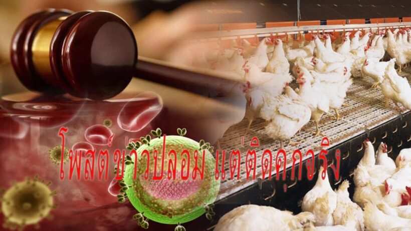 ศาลลงดาบ! จำคุกคนโพสต์มั่วหมู-ไก่เป็นเอดส์ กระทบทั้งผู้ประกอบการและผู้บริโภค | The Thaiger