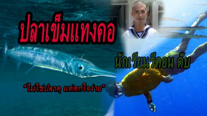 รายแรกในไทย นักเรียนรีคอนถูกปลาเข็มพุ่งแทงคอเสียชีวิตขณะฝึก | The Thaiger
