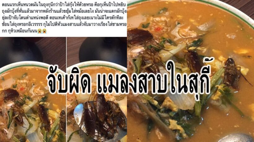 ชาวเน็ตสงใส สาวโพสต์แมลงสาบในถุงสุกี้ 4 ตัว เป็นไปได้หรือ จัดฉากหรือไม่ | The Thaiger