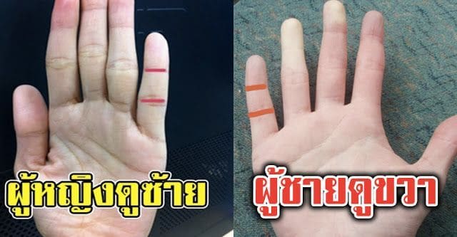 นิ้วก้อยของเราสามารถ บอกจุดเด่น จุดด้อย ของชีวิตได้ แม่นกว่าดูลายมือ | The Thaiger