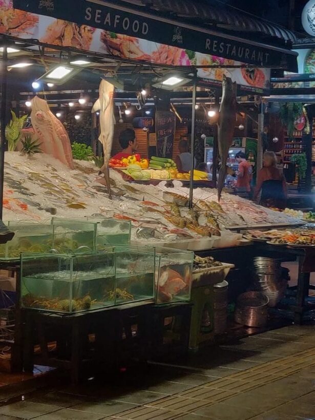 Blacktip reef sharks found at Phuket seafood restaurant | News by Thaiger