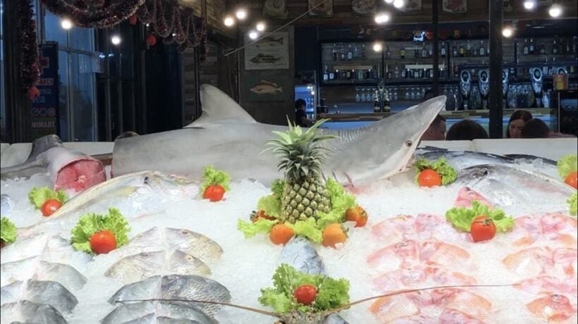 More sharks found displayed at seafood restaurant in Phuket