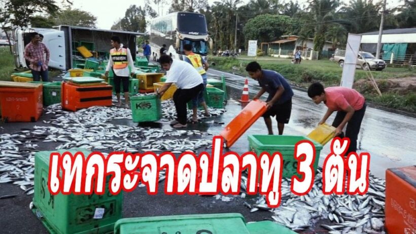 ยิ่งกว่าแร้งลง! รถปลาทูคว่ำ ชาวบ้านแห่โกยกลับบ้าน | The Thaiger