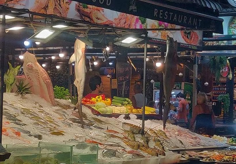 Blacktip reef sharks found at Phuket seafood restaurant