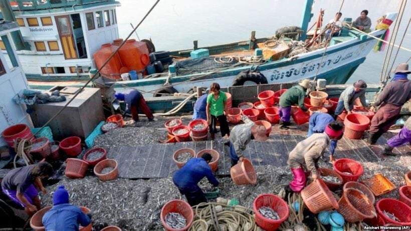 Greenpeace positive on lifting of Thailand’s Yellow Card fishing sanction