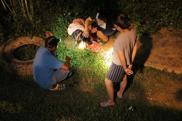 Dog stuck in mud, rescued after storm in Phang Nga