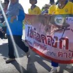 Rawai locals protest against high Dengue rates in southern Phuket | Thaiger