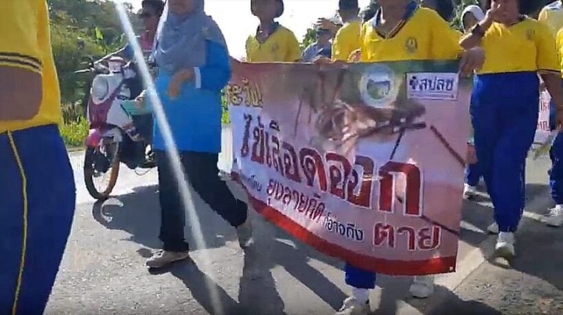 Rawai locals protest against high Dengue rates in southern Phuket