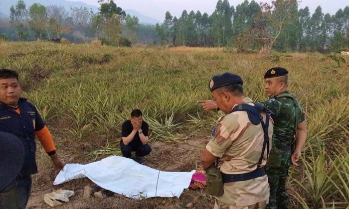 ช้างป่าเขาอ่างฤาไน รุมกระทืบตาเฝ้าไร่สับปะรดวัย 73 กะโหลกแตกละเอียด | The Thaiger