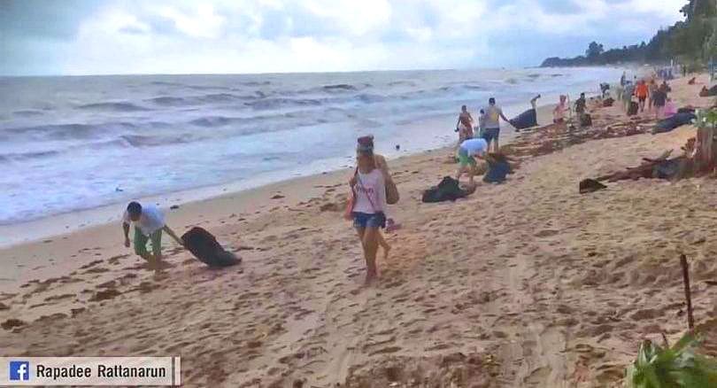 Foreigners rolling up sleeves to clear rubbish from Samui beaches