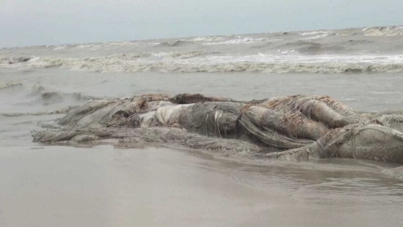 Dead whale washed up on Nakhon Si Thammarat coast