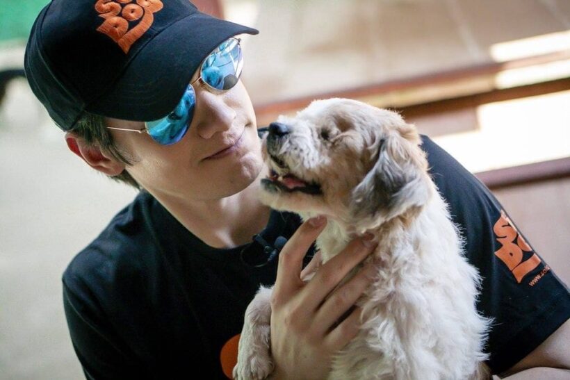 Peter Denman from Channel 3 visits Phuket’s Soi Dog Foundation