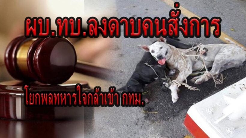 ลงดาบ นายทหารยศใหญ่สั่งมัดหมา ครอบครัวพลทหาร ยันไม่ได้ถูกลงโทษ | The Thaiger