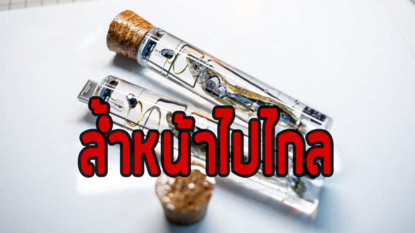 ก้าวไปอีกขั้น ญี่ปุ่นพัฒนาแฟลชไดรฟ์ เชื่อมต่อกับสมองปลา เก็บข้อมูลได้ถึง 32 GB! | The Thaiger