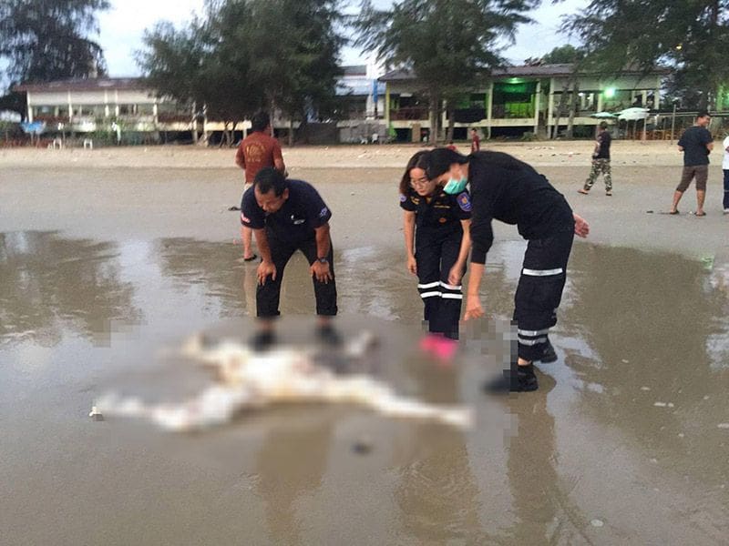 Two headless bodies found on Rayong beaches near Pattaya