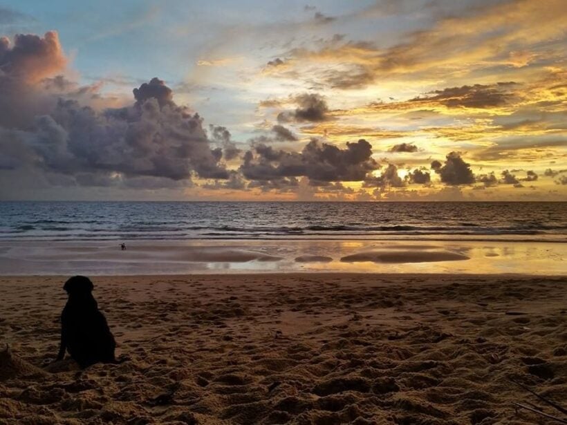 นั่งชิล ชมอาทิตย์ลับผืนน้ำที่ “หาดสุรินทร์” จ.ภูเก็ต | The Thaiger