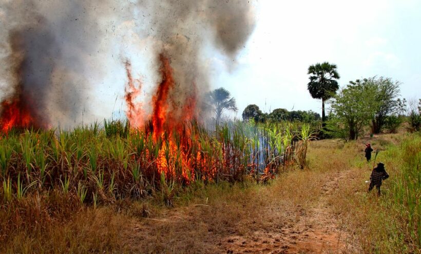 Air pollution: Cabinet asked to allocate 6 billion baht to help buy sugarcane harvesters