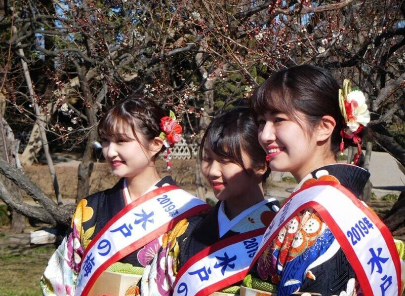 Japan’s legendary cherry blossom is only 5 hours away