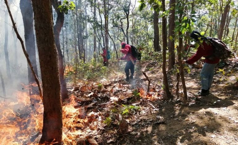 Air quality in 9 northern provinces worse in March-April | Thaiger
