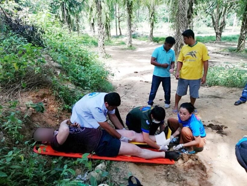 Italian tourists injured in goring attack by bull elephant in Phang Nga park