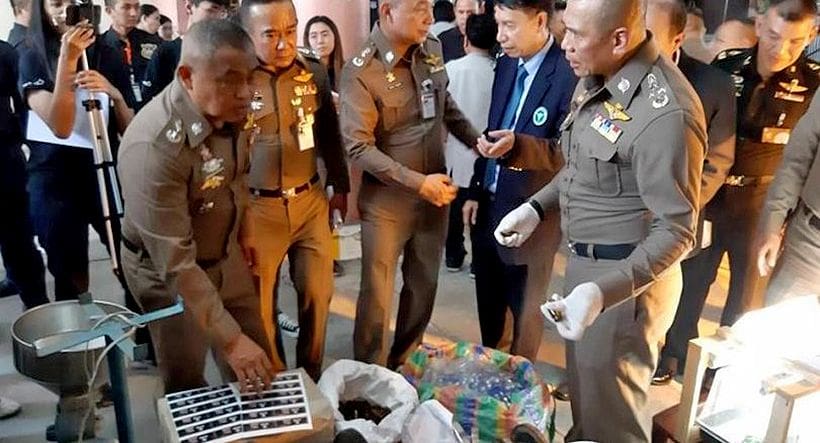 American man and Thai woman arrested in Chiang Mai cannabis factory raids | News by Thaiger