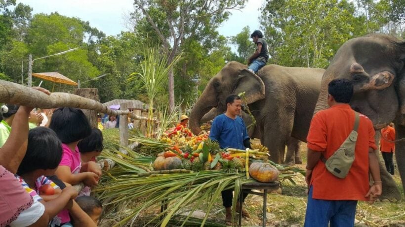 Krabi celebrates National Elephant Day