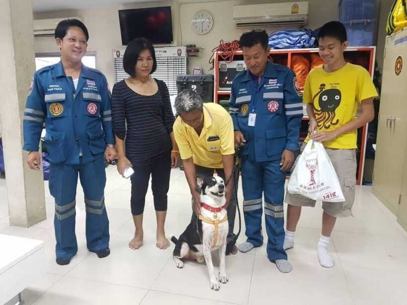 น้องกลับบ้าน! “หมาทางด่วน” ติดบนตอม่อบูรพาวิถี เจอเจ้าของที่แท้จริงแล้ว | The Thaiger