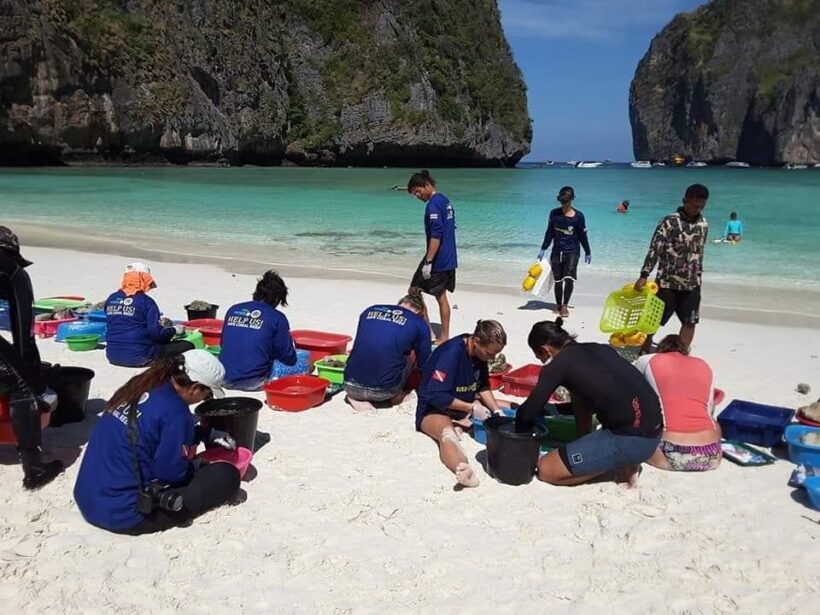 Maya Bay rehabilitation: Volunteer divers needed | News by Thaiger