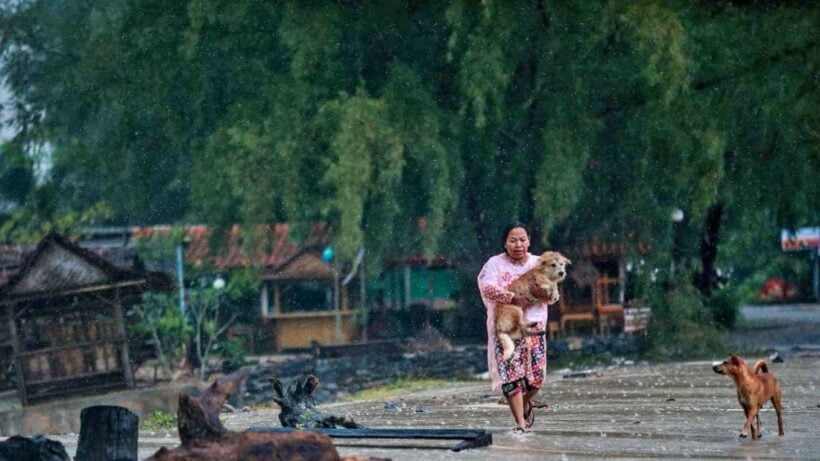 Summer storms on the way for north, north-east