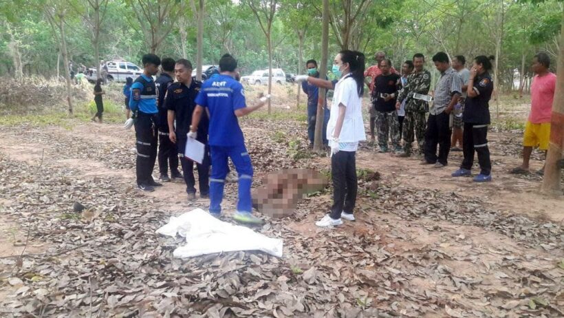 Buriram villager killed by rampaging wild elephant