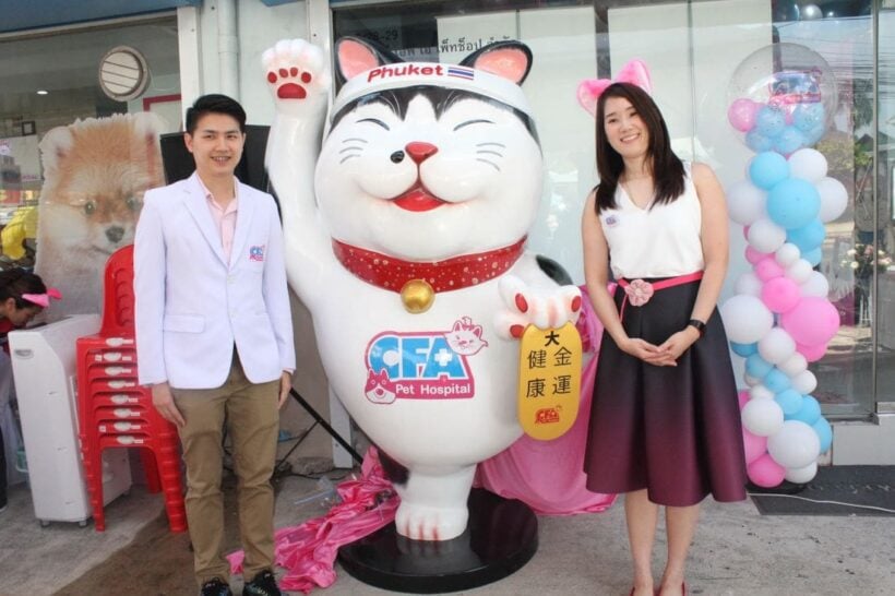 โรงพยาบาลสัตว์เจ้าฟ้าอันดามัน เปิดตัวมาสคอต “แมวอันดา” สถานพยาบาลสัตว์ที่ได้มาตรฐาน “Cat Friendly Clinic” | The Thaiger