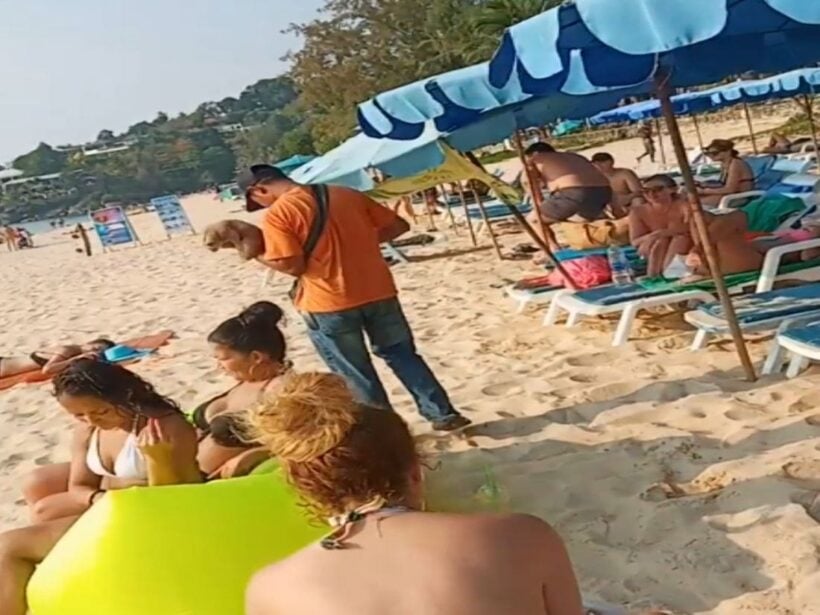 Officers follow-up on slow loris tout on Phuket beach – VIDEO