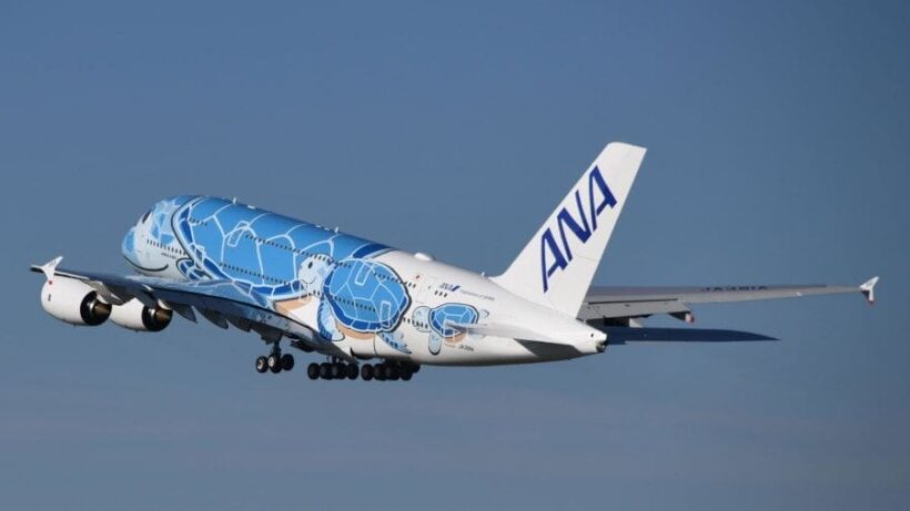 Fly on the 'Honu', snazzy new Airbus jumbo design | News by Thaiger