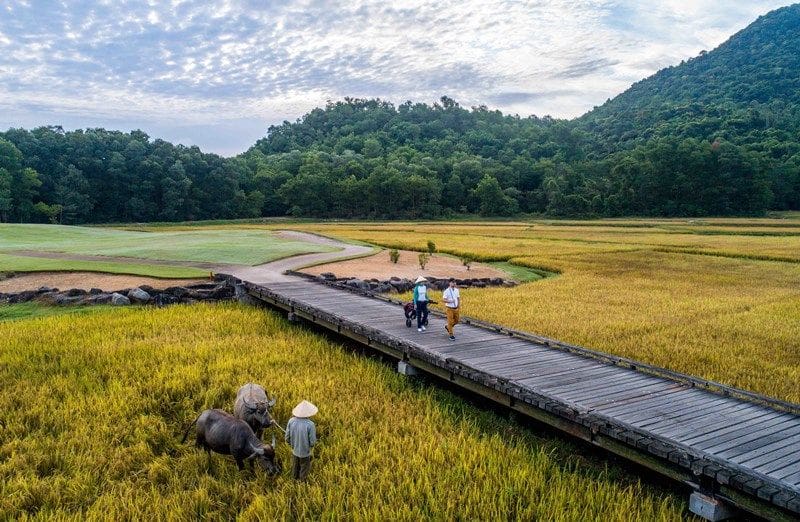 A family of three grooms Vietnam’s most edible golf course