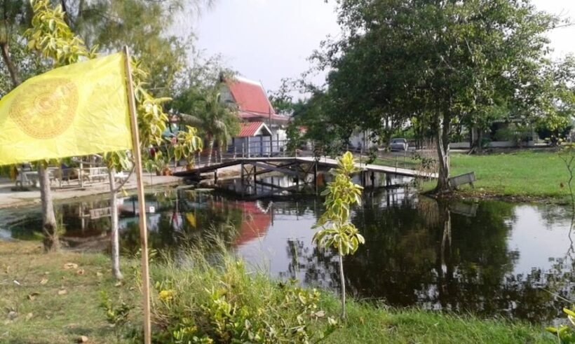 สังเวยอากาศร้อนจัด ยายวัย 83 ปี นอนหลับตายคาศาลาวัด | The Thaiger
