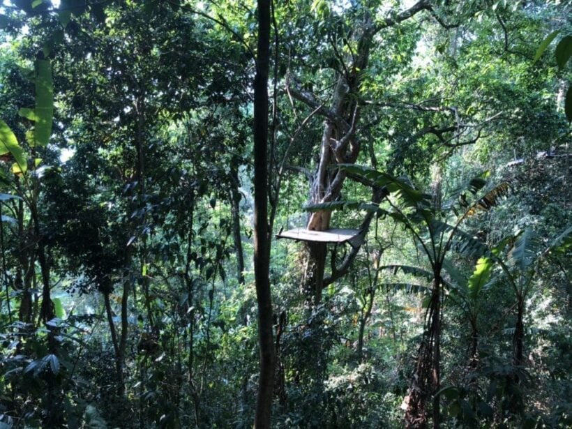 UPDATE: 25 year old Canadian dies after falling from Chiang Mai zipline ride | News by Thaiger