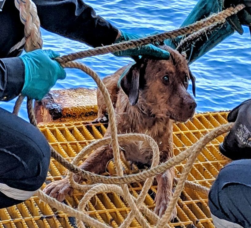 ‘Boonrod’ plucked out of the Gulf of Thailand, 220 kilometres offshore