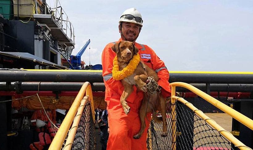 'Boonrod' plucked out of the Gulf of Thailand, 220 kilometres offshore | News by Thaiger