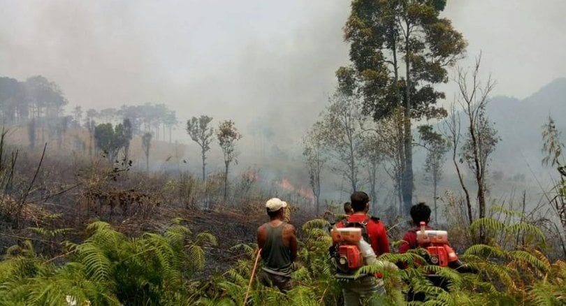 Chiang Mai’s air pollution sends over 30,000 to hospital, ranked worst in world today