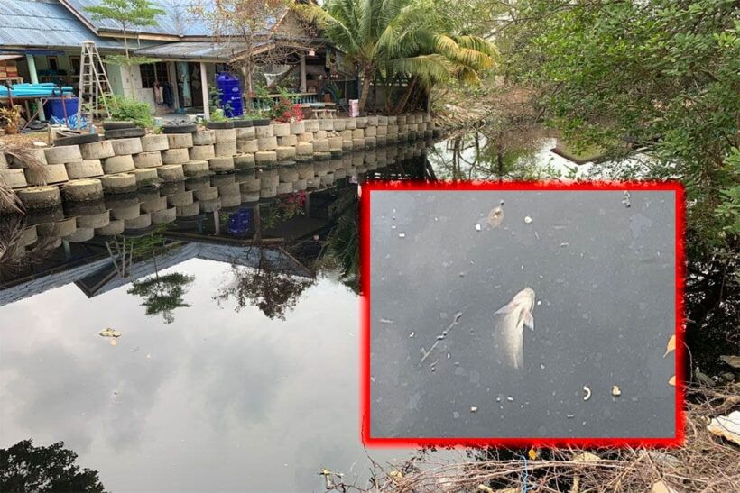 Wastewater still flowing into Mudong Canal in Chalong