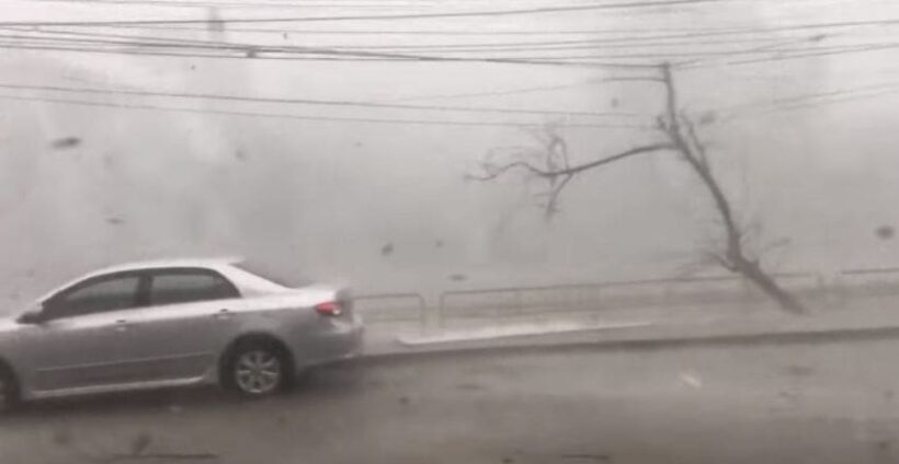 ชมคลิปพายุฤดูร้อนถล่มหางดง จ.เชียงใหม่ รุนแรงน่ากลัวมาก | The Thaiger