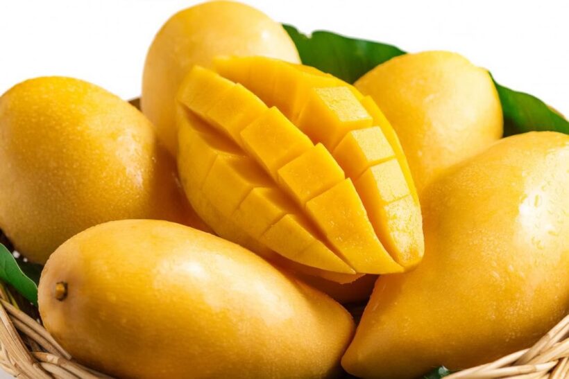 For the love of mangoes