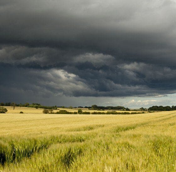 Summer storms leave 6,900 homes damaged this month | The Thaiger